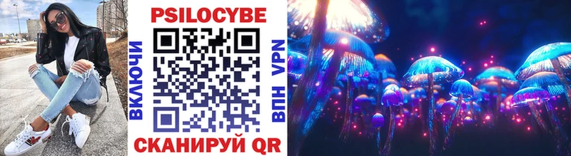 Галлюциногенные грибы Psilocybine cubensis  Гаджиево 